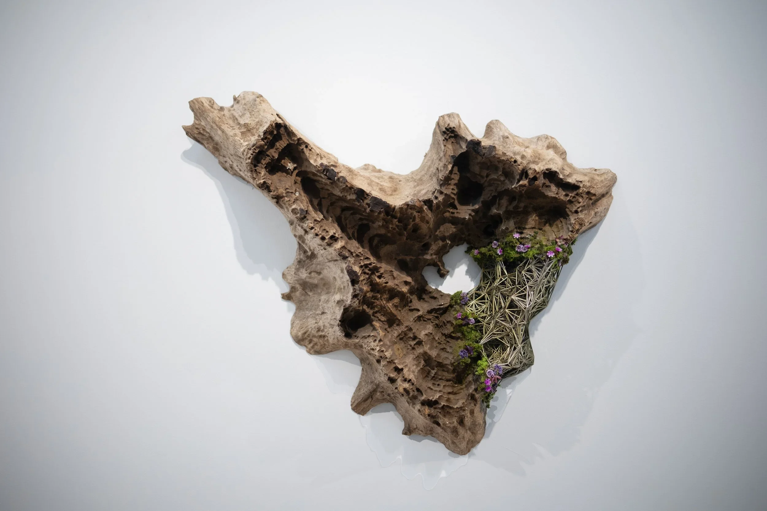 A large piece of textured, weathered driftwood with holes and crevices, decorated with small purple flowers and green moss at the bottom, set against a white background.