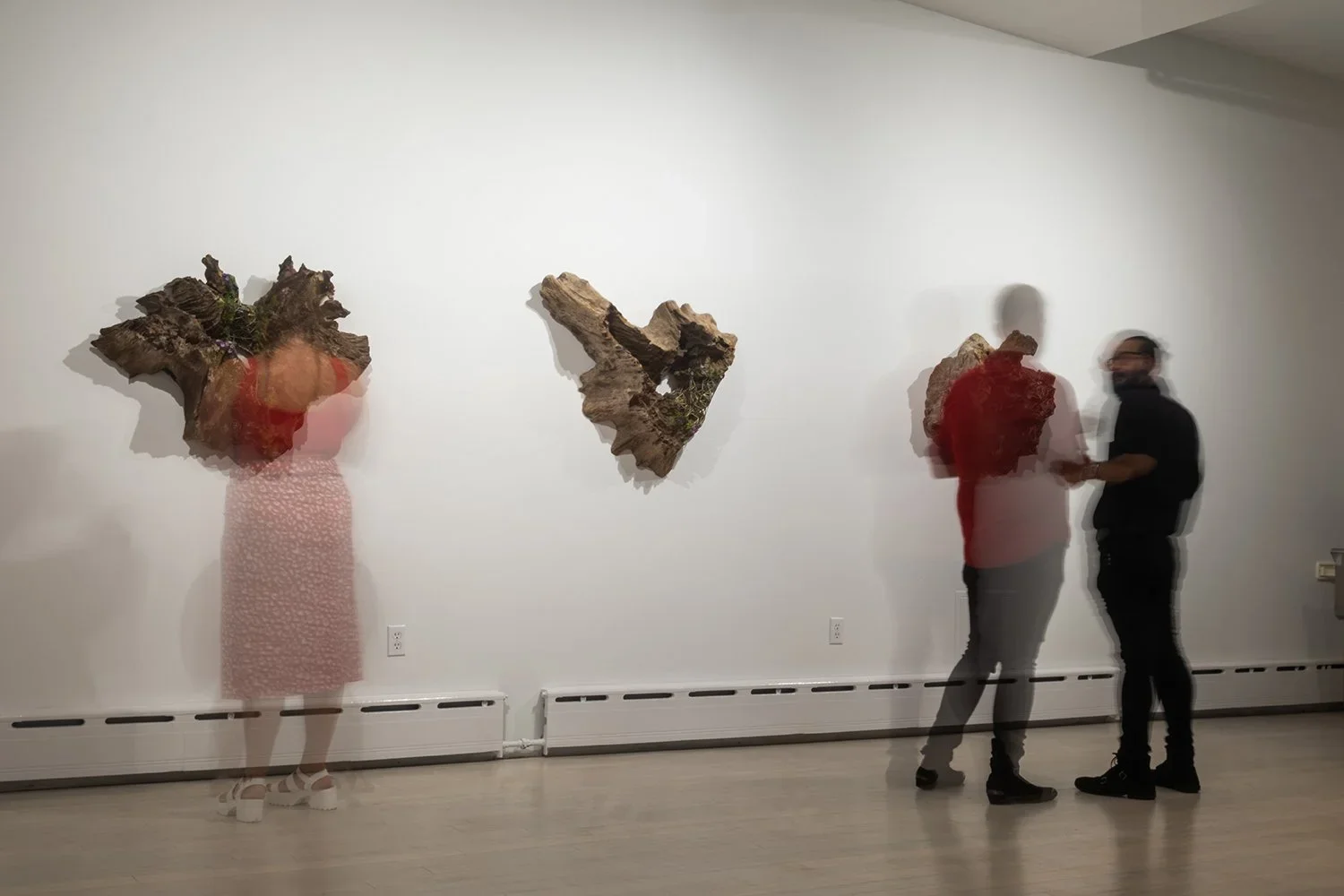 People viewing abstract wooden art pieces on a white gallery wall, with some people appearing blurred because of motion.