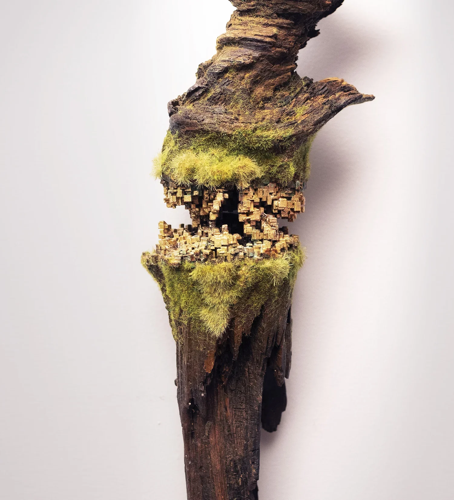 A piece of weathered wood with moss growing on it, featuring intricate details and textures.