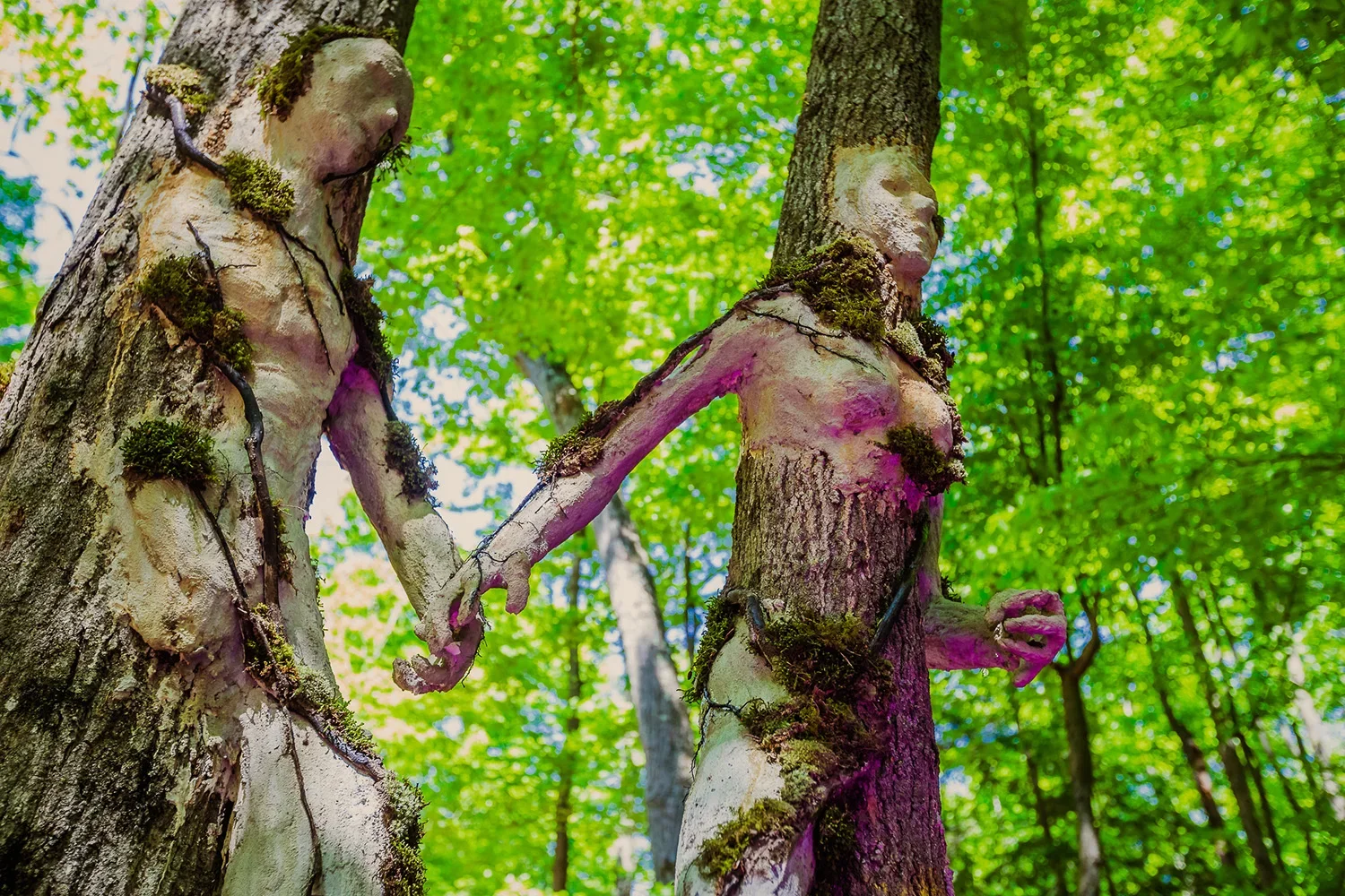 Art installation of two trees with human-like faces and hands, holding hands in a forest with green leaves.