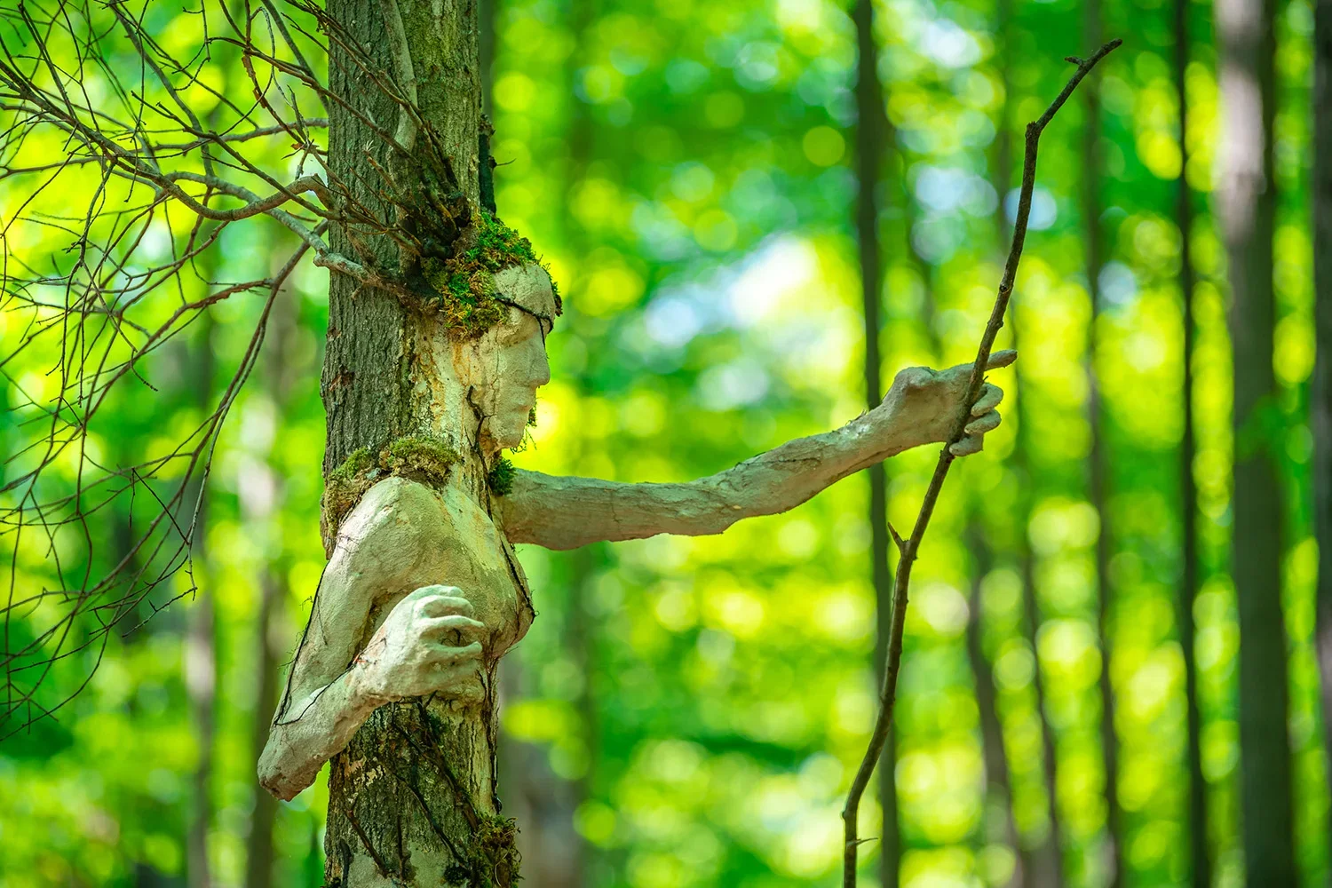 A tree with a carved face and outstretched arm holding a stick in a green forest.