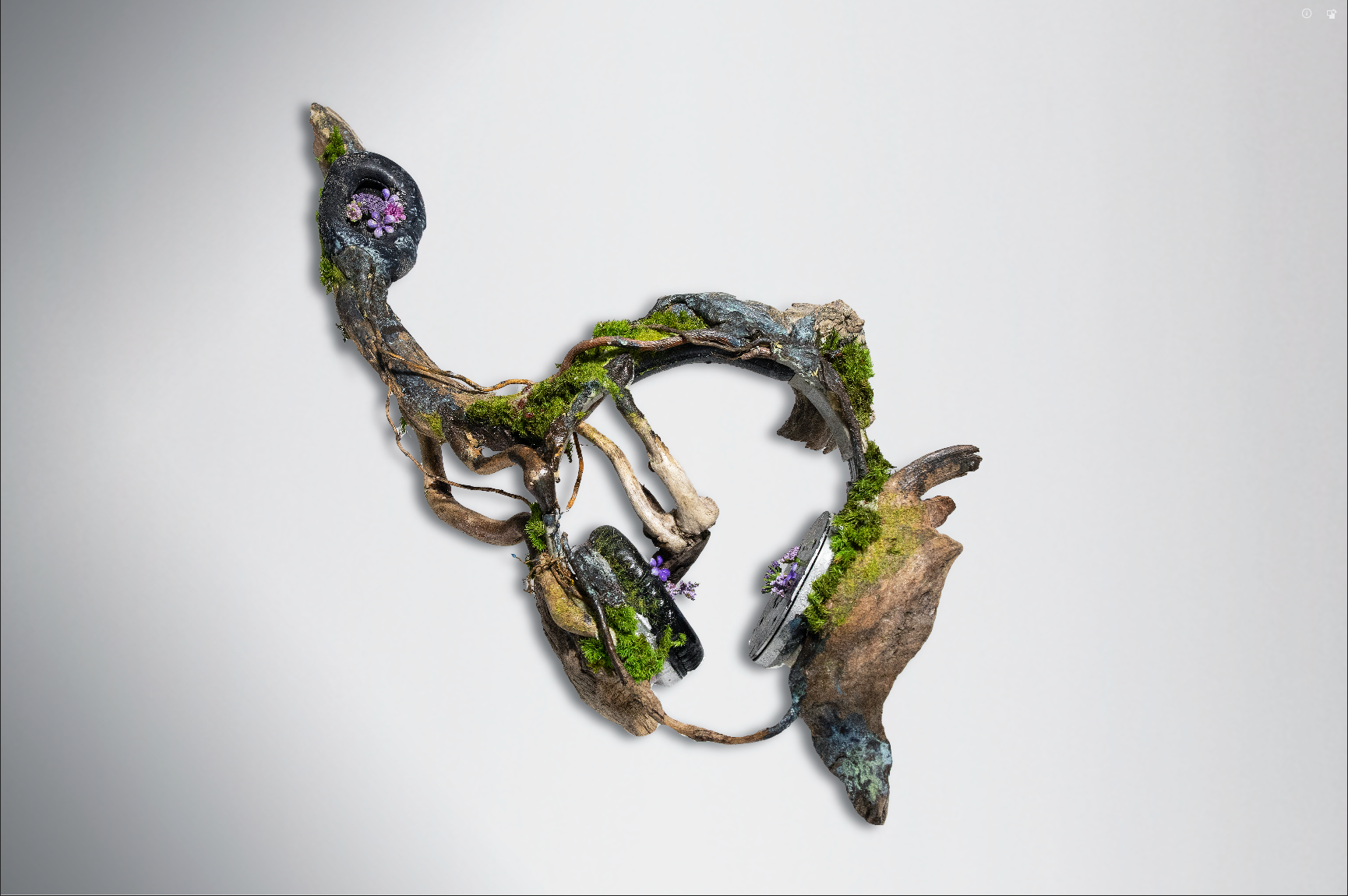 Art piece made of intertwined driftwood, moss, purple flowers, and a black object resembling headphones with moss and purple flowers, mounted on a white background.