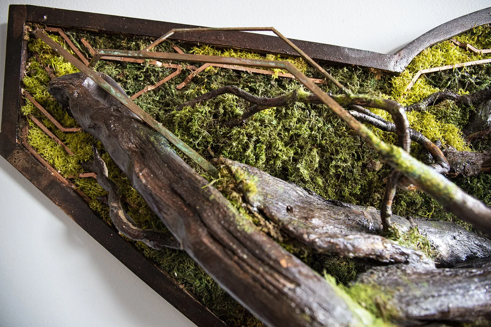 A display case with dried twigs and mosses arranged inside to resemble a miniature forest scene.