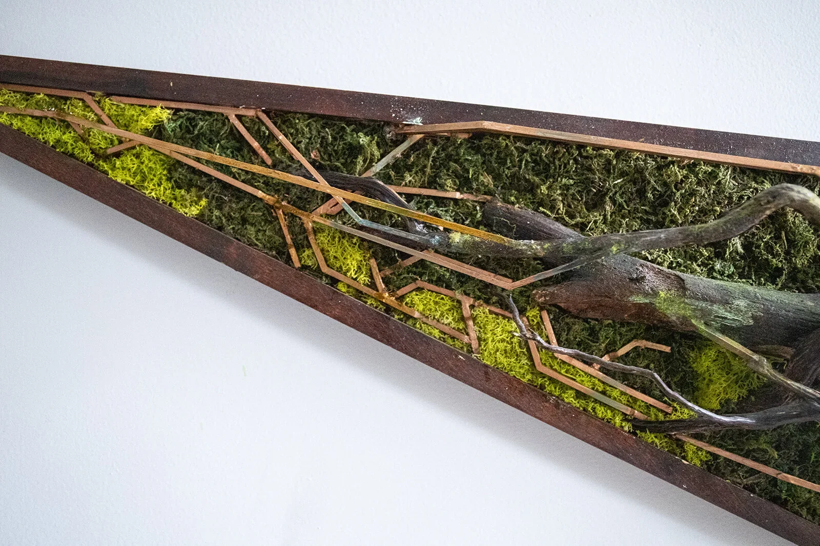 A piece of art or sculpture featuring natural elements like moss, branches, and wood, framed in a rectangular wooden case.
