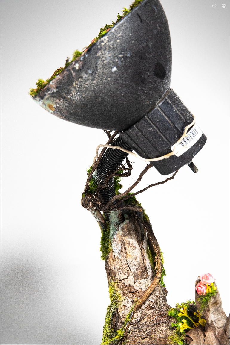 A close-up of a tree branch with moss, supporting a small outdoor security camera mounted on a black plastic housing, with pink and yellow flowers nearby and a plain gray background.