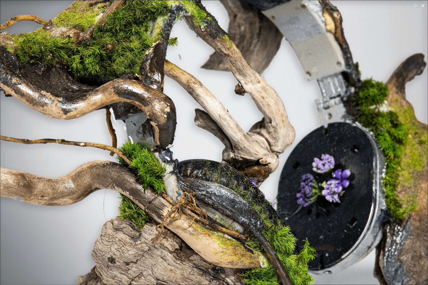 Artistic arrangement of driftwood, moss, and small plants, with a black circular element with purple flowers in the background.