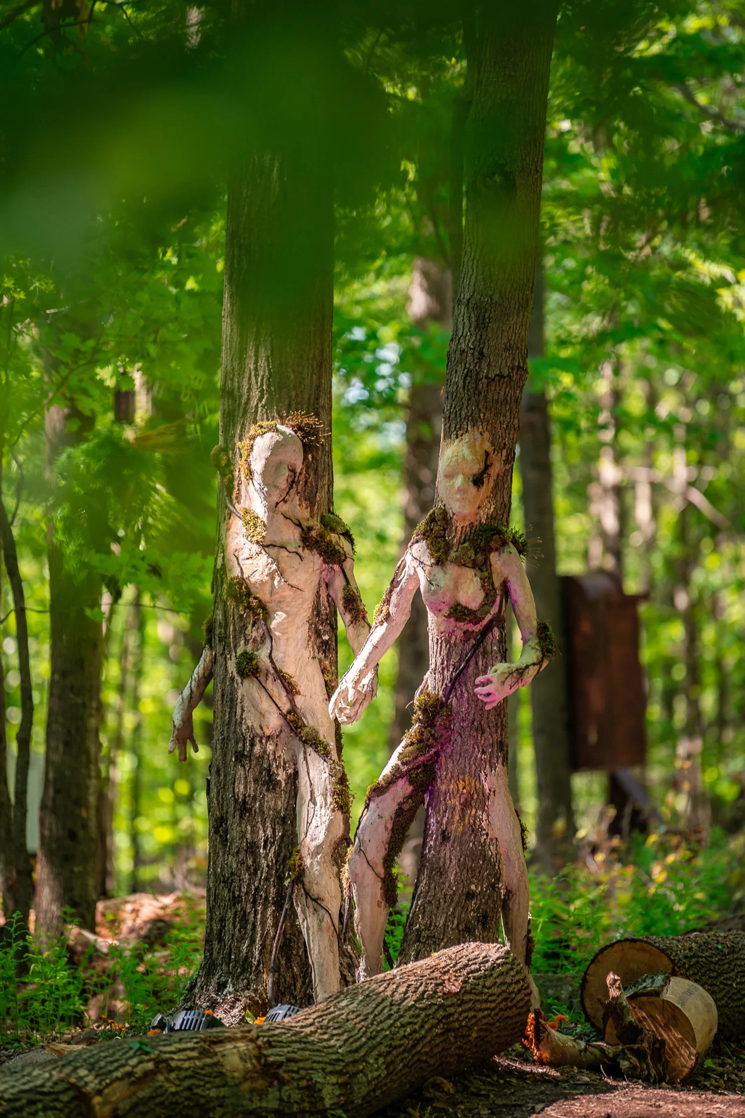 A forest scene with trees and green foliage. Two trees in the foreground are painted to look like humanoid figures, blending into the background. Logs are on the ground and sunlight filters through the canopy.