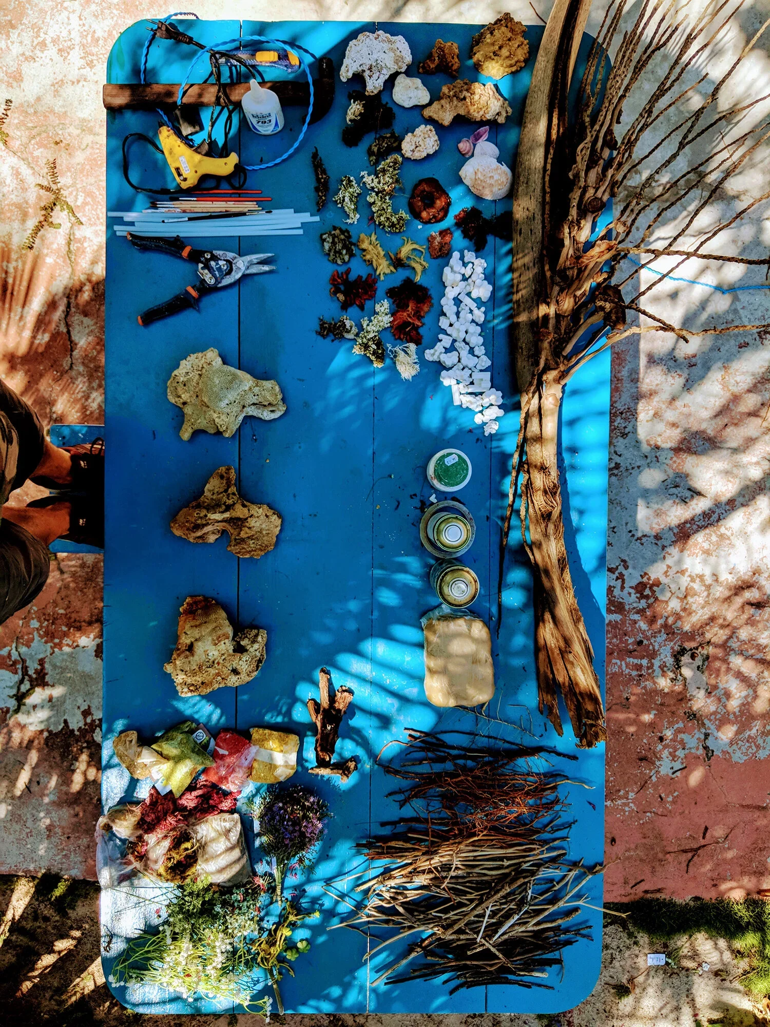 Top view of a blue table displaying rocks, shells, herbs, plants, branches, and containers, with shadows casting across the objects.