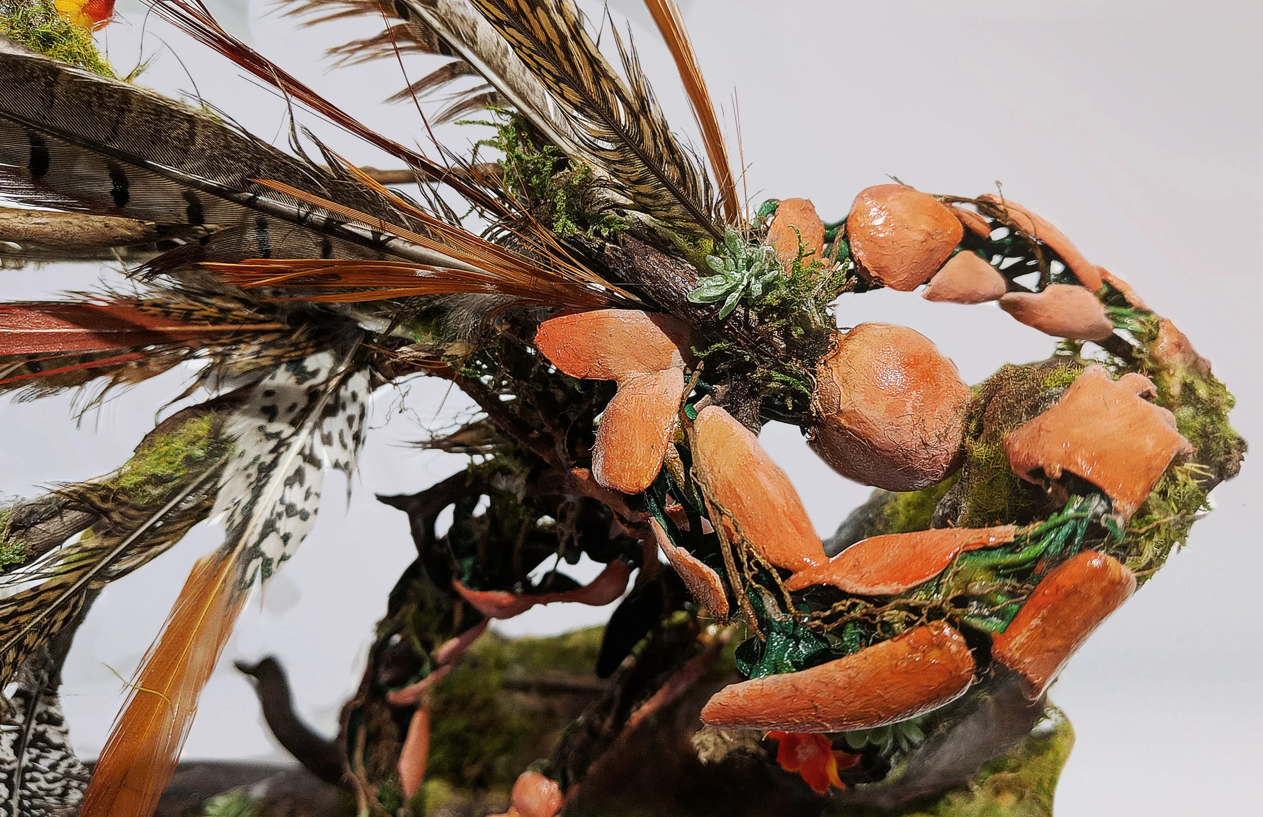Close-up of various bird feathers, moss, and small plants arranged with small orange rock fragments on a white background.