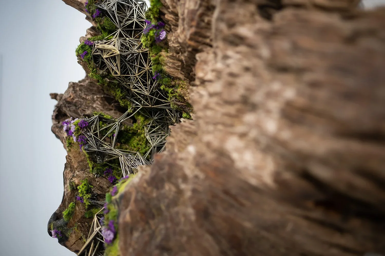 Close-up of a rock formation with a hollowed-out section filled with metal geodesic structures, green moss, and purple flowers.