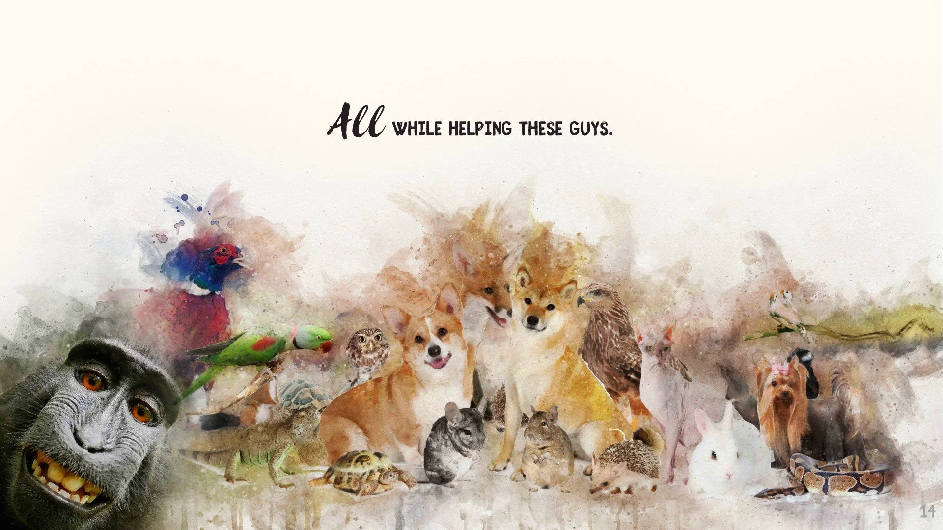 A collection of various animals including a gorilla, parrot, owl, dog, cat, snake, rabbit, and many others in a watercolor art style with the text "All while helping these guys" at the top.