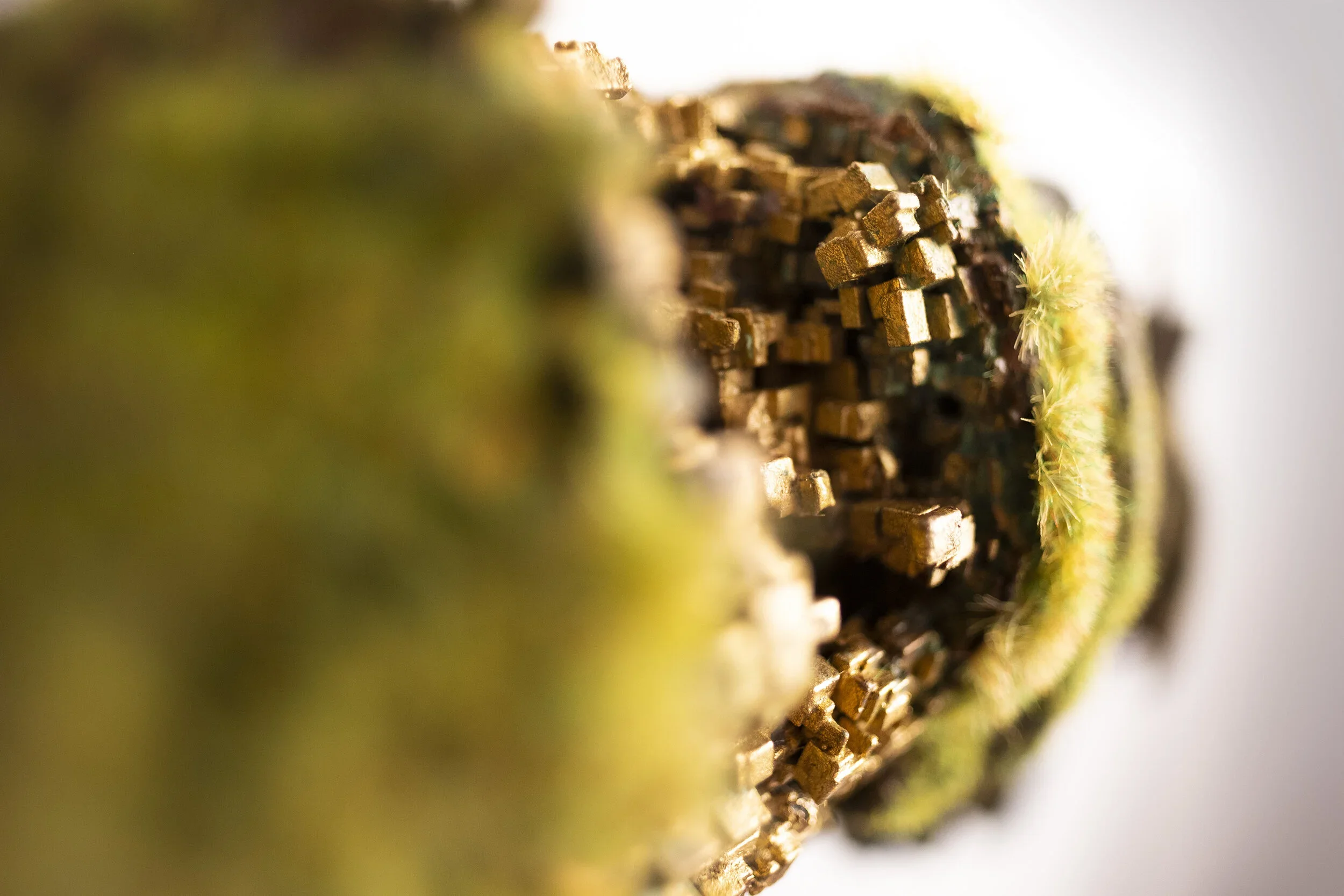 Close-up of a textured surface with small brown cubic elements, surrounded by greenish material.