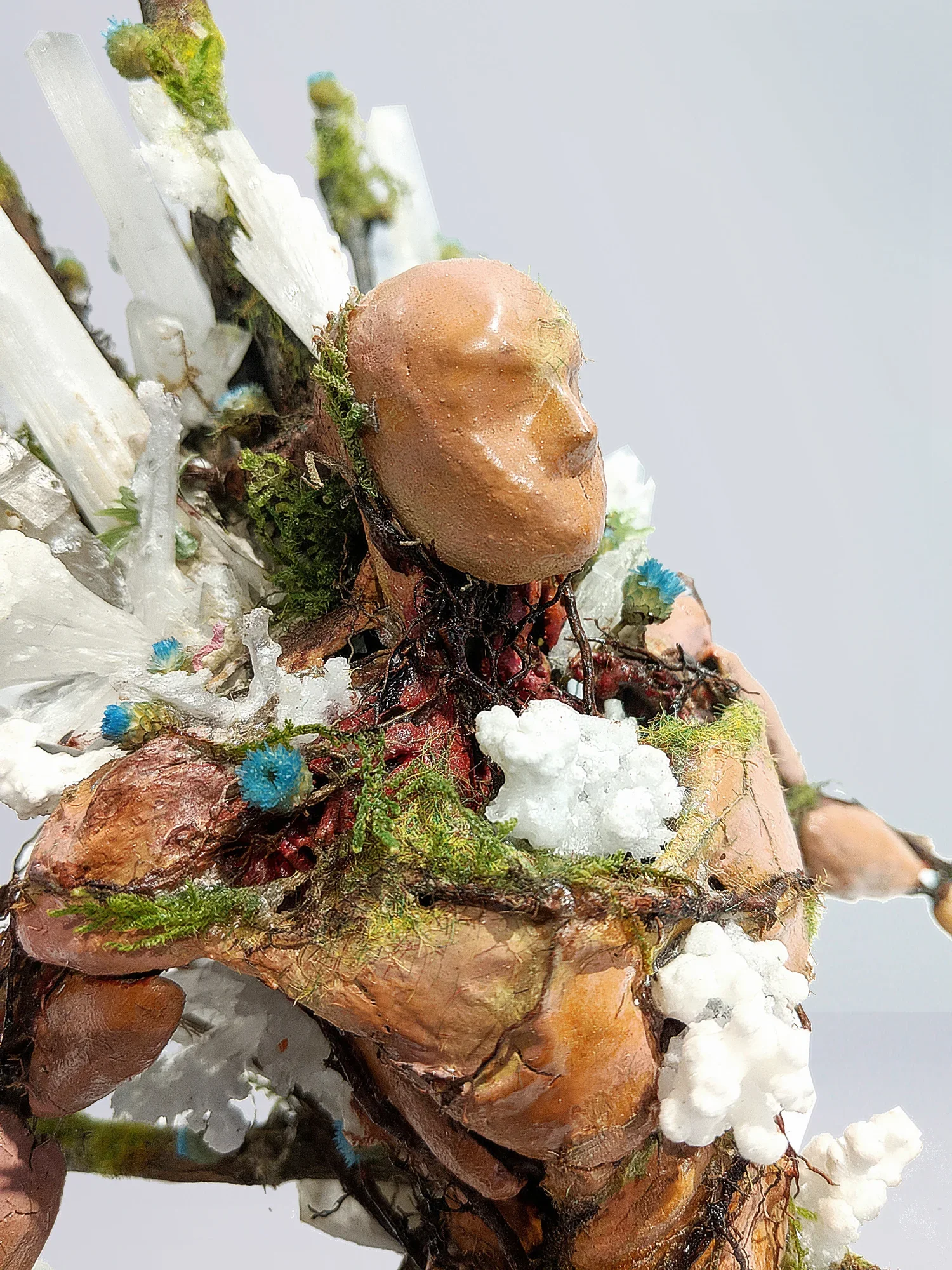 Close-up of a human face infused with plant elements, surrounded by flowers, moss, and soil, with a neutral background.