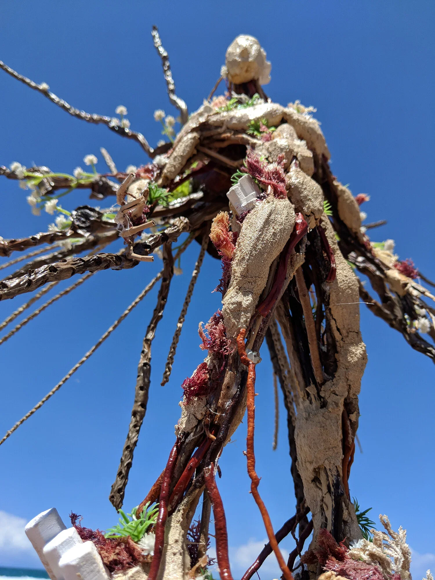 Close-up view of a weathered chain-link fence with intertwined dried vines, small plants, and a few small white flowers, against a bright blue sky and a distant ocean.