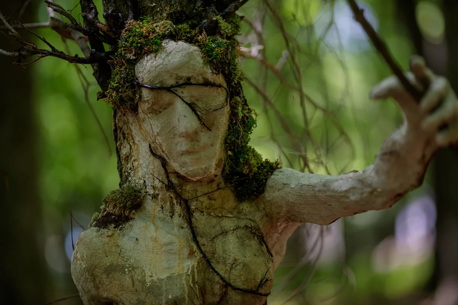 Tree trunk with a human face carved into it, surrounded by moss and branches, in a forest setting.