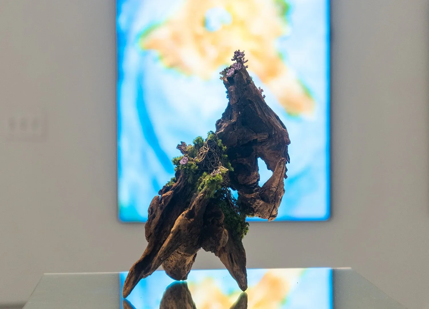 Close-up of a detailed miniature sculpture of a horse made from a textured piece of wood with small mossy plants attached, displayed on a reflective surface in front of a blurred map background.