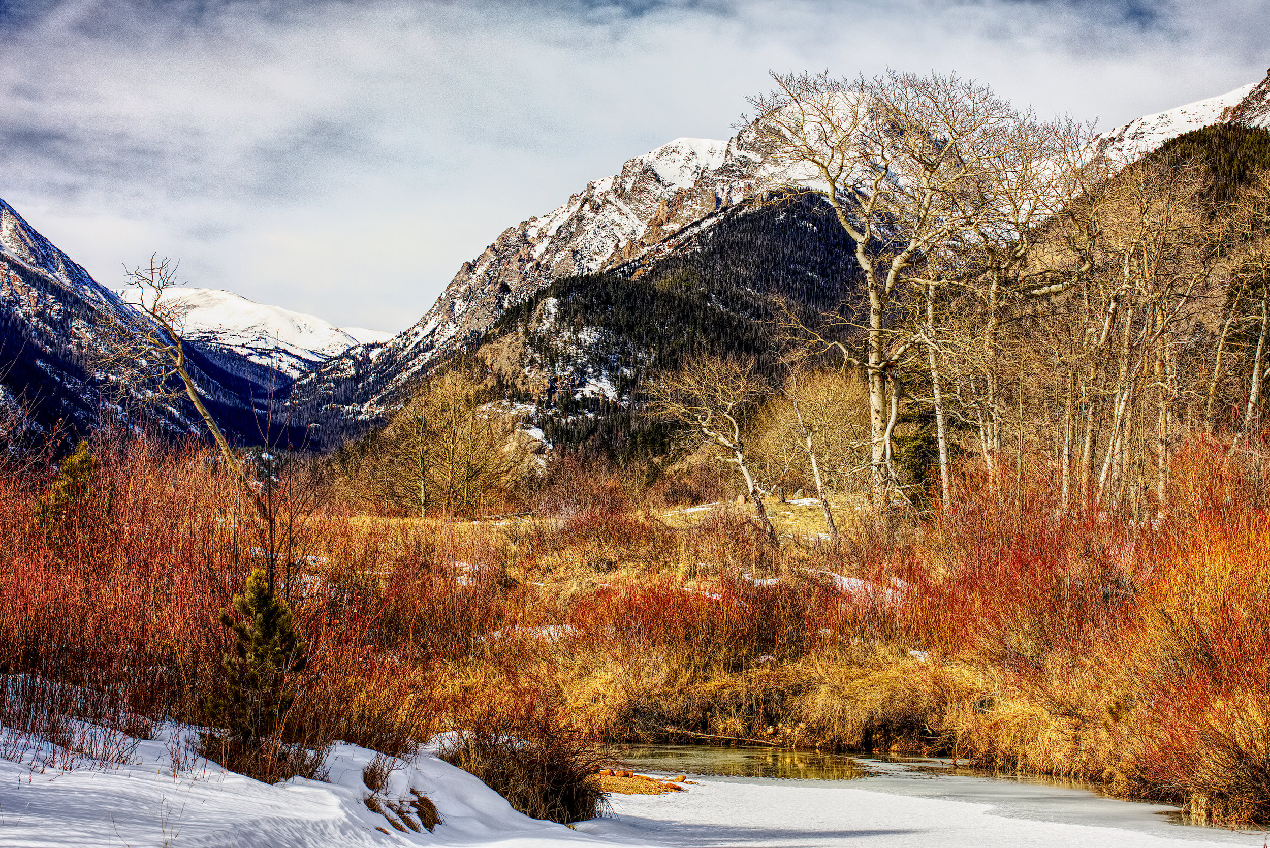 December in Color.jpg