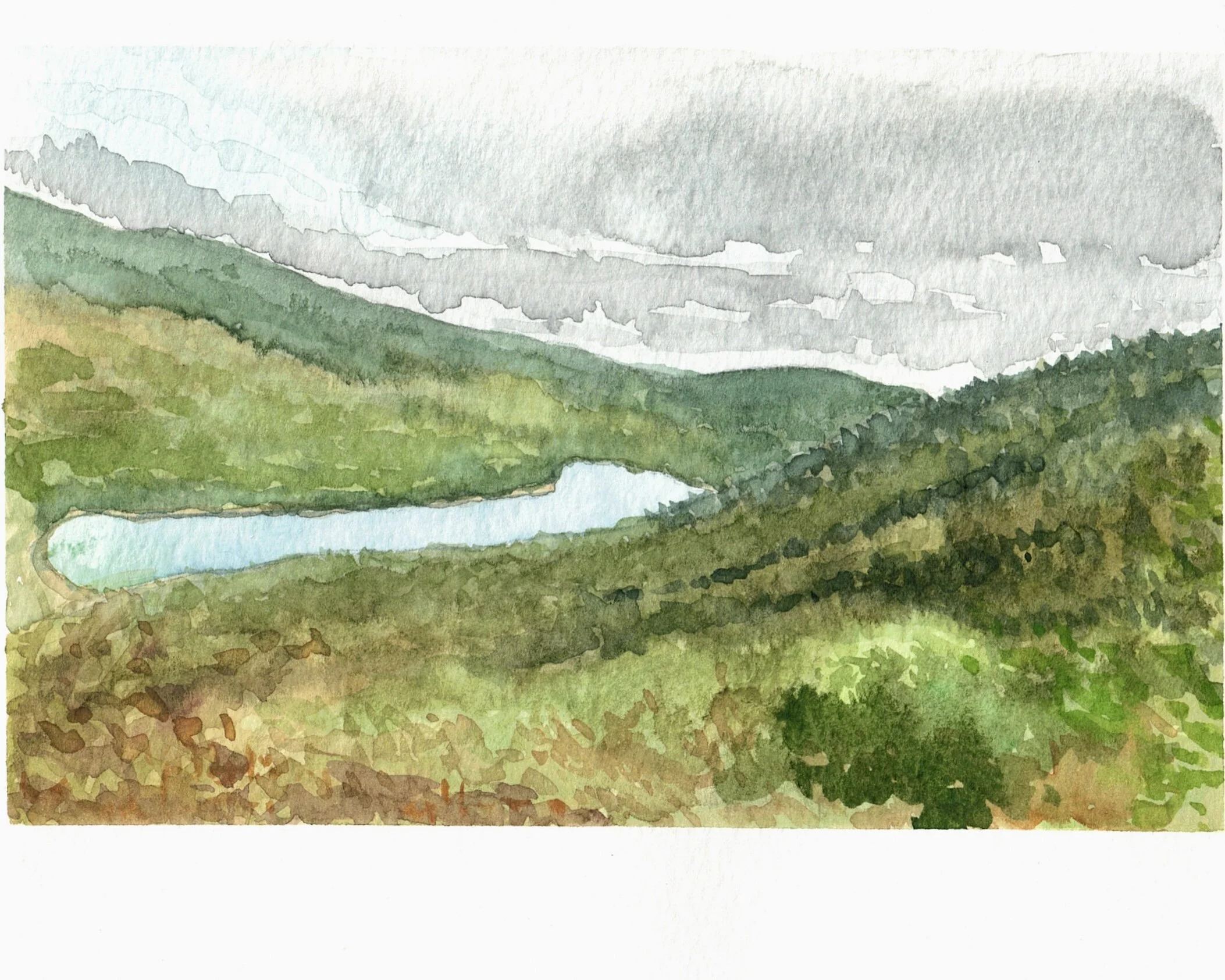 D9DAEB4D-15E9-4851-ACAB-C24DCCEC6833