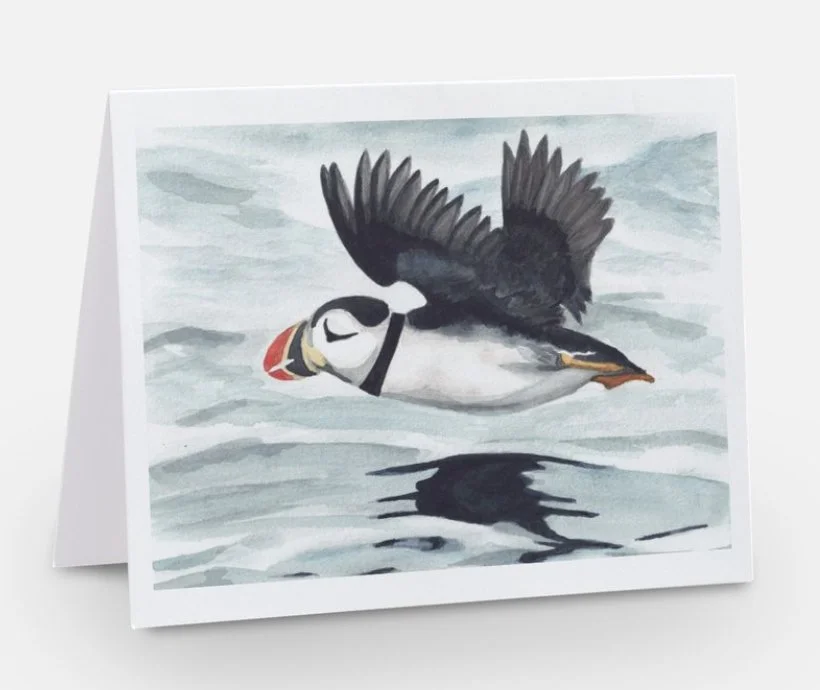 Card Image_Puffin.jpg