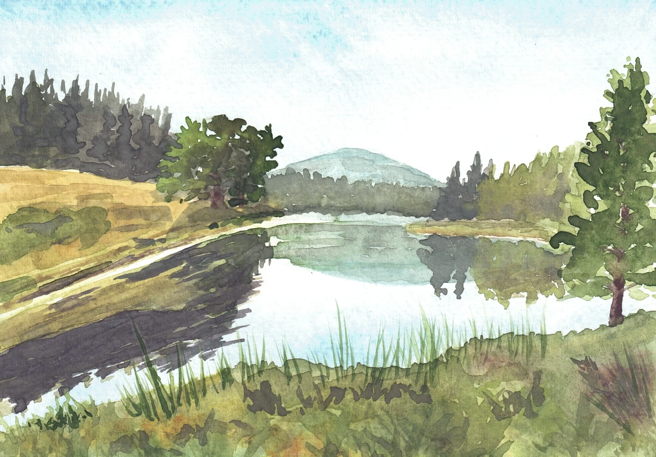 Late Summer Reflections