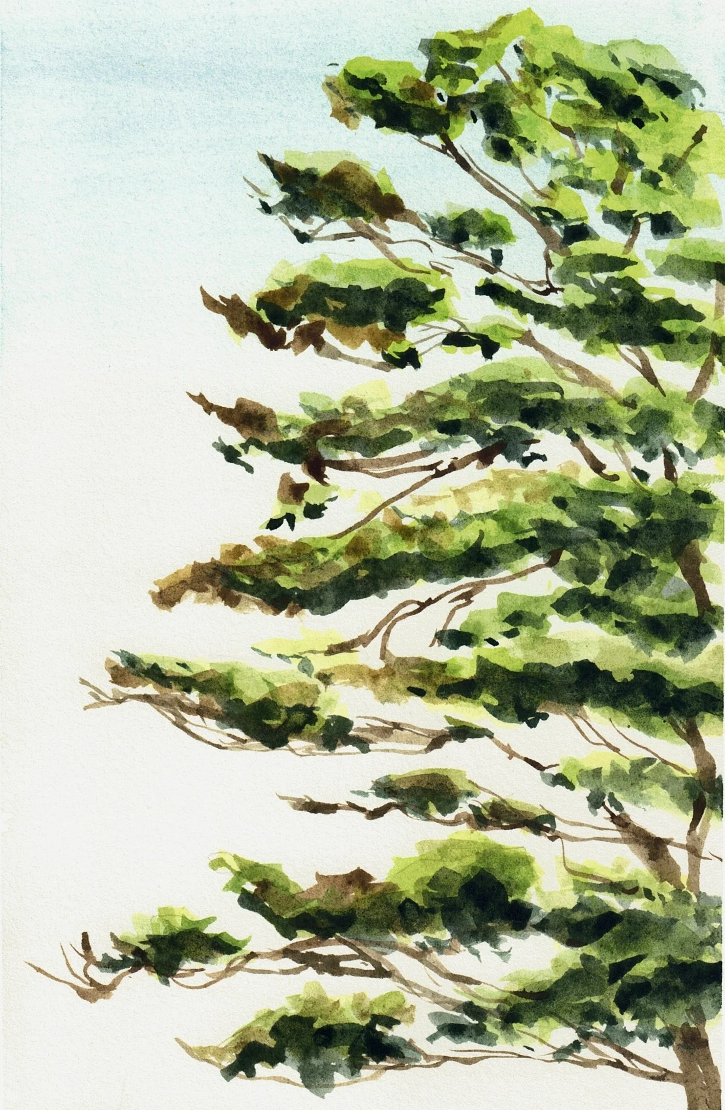 Tree on the Shore Path crop.jpg