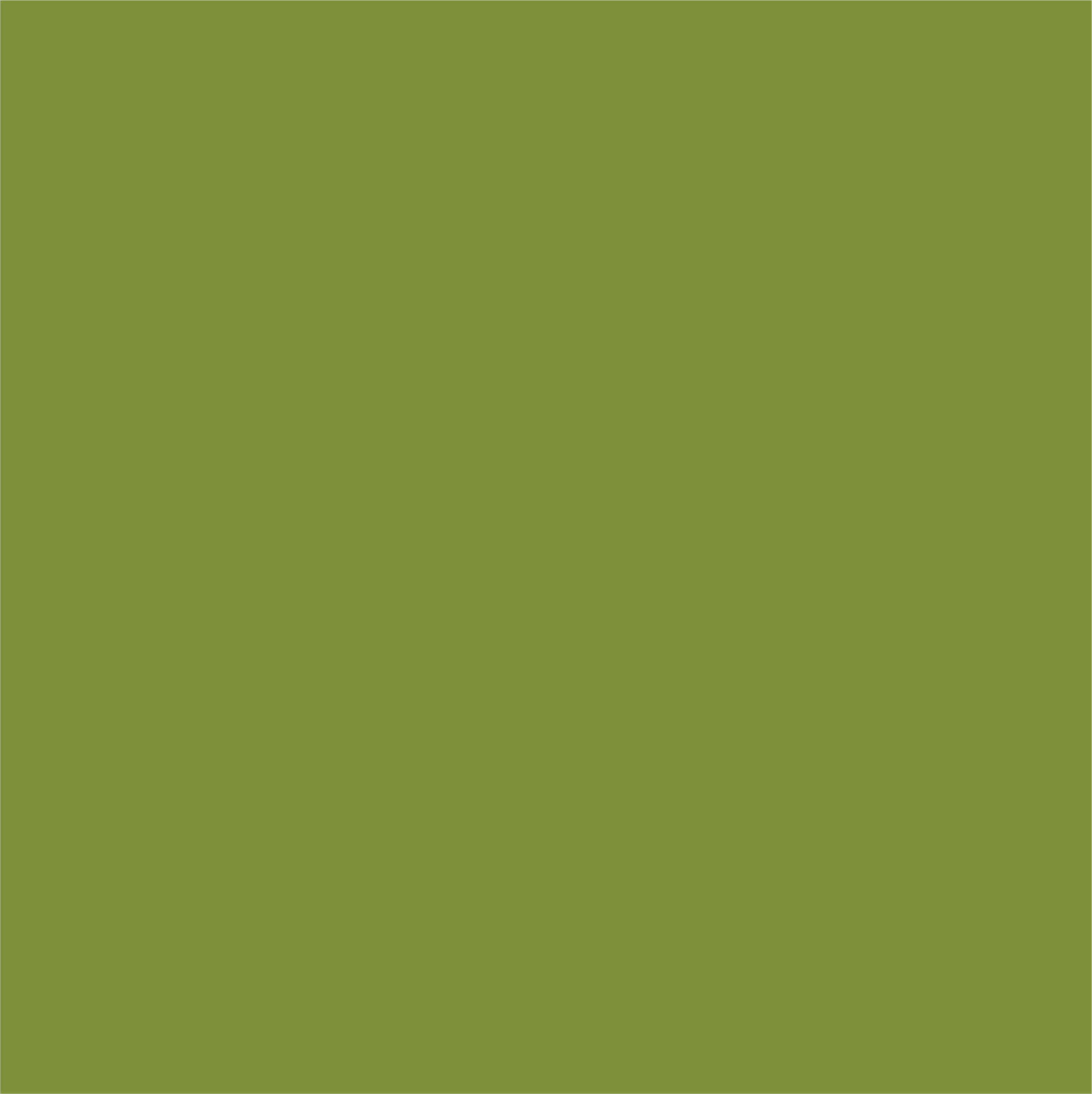 mg_site_graphics_h-8.png