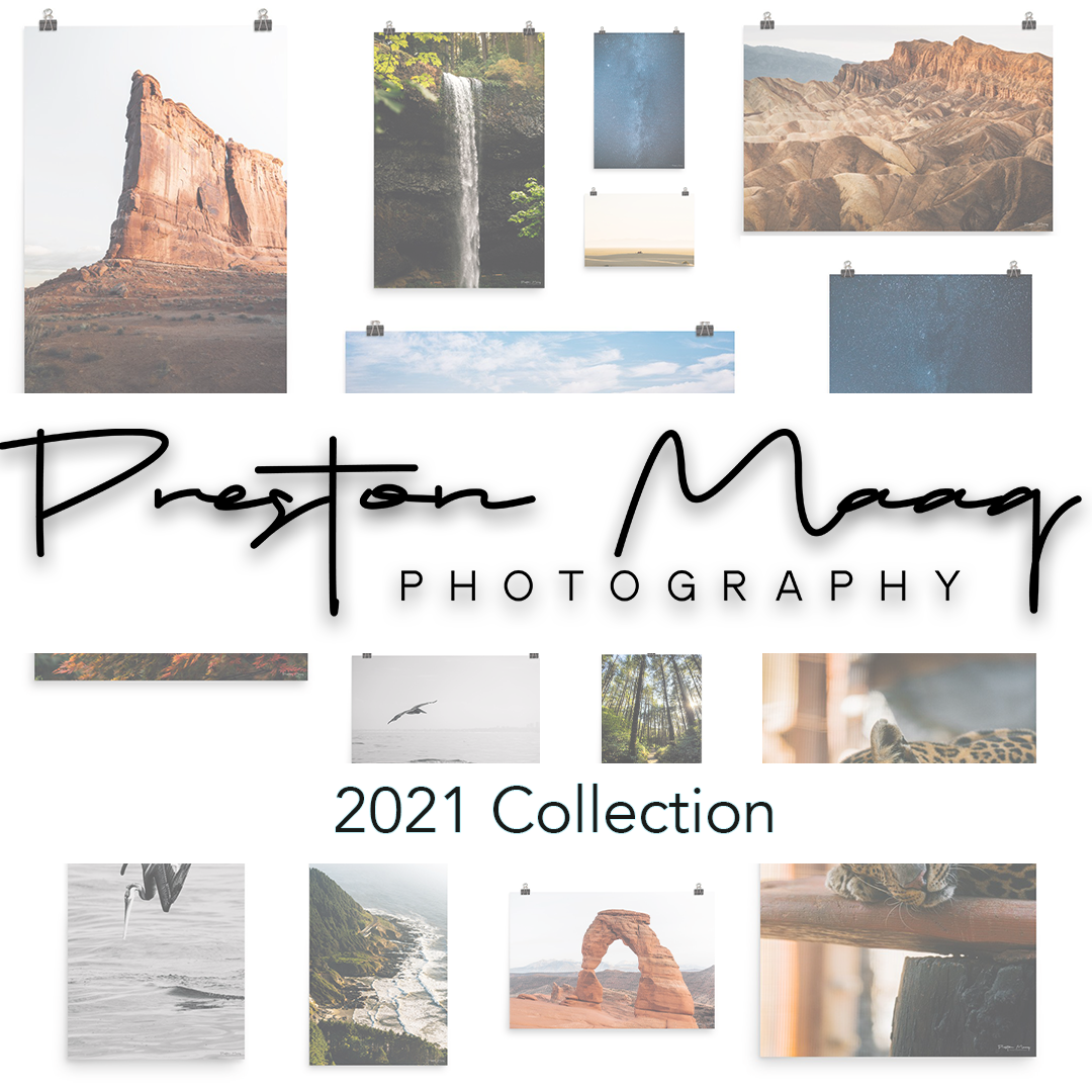 2021 Print Collection