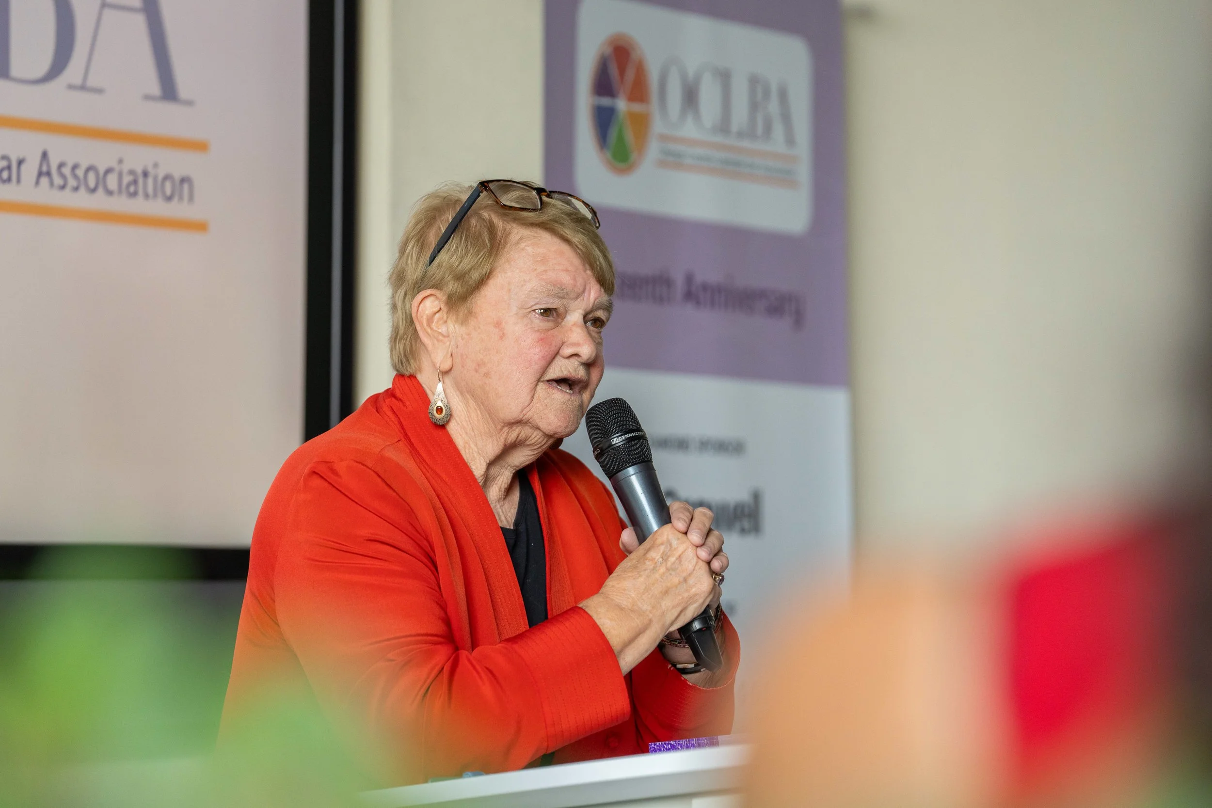 OCLBA 15th Anniversary Party-87.jpg