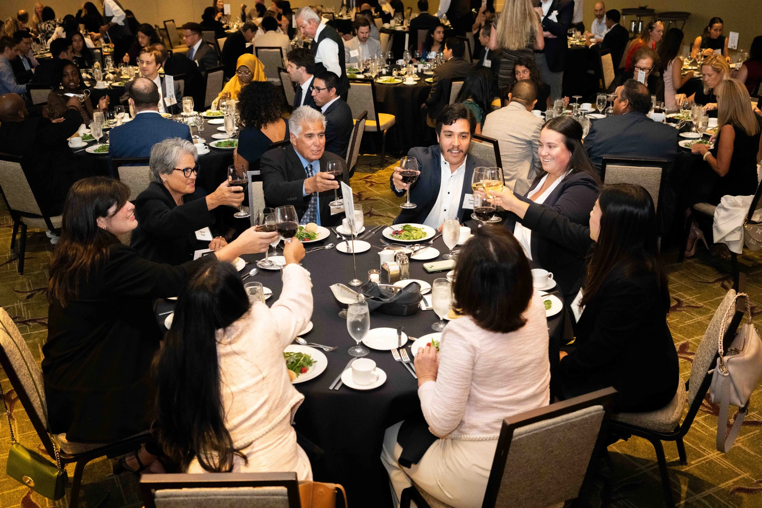 OCCDL DEI Awards Gala 2025-50.jpg