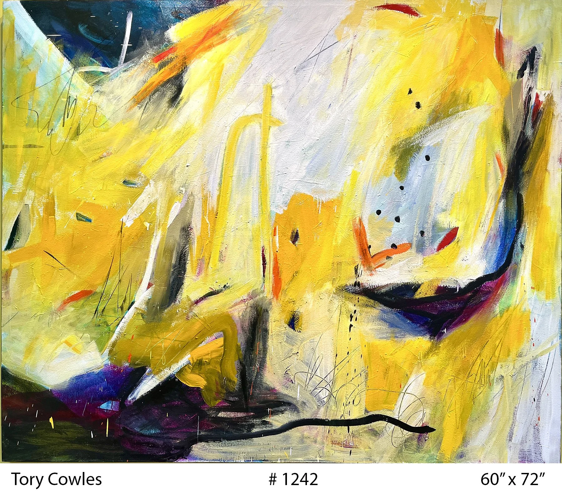 P1242 5x6 300p L.jpg