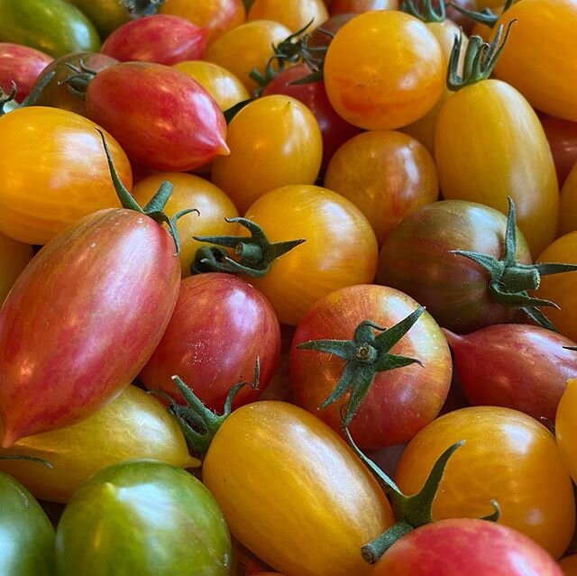 🍅☀️🍅☀️ #fermedelagrive #summer 🔥🔥🔥