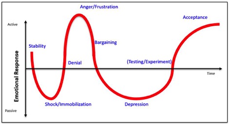 IQI2.jpg