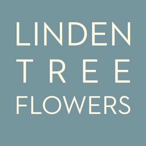 Linden Tree Flowers