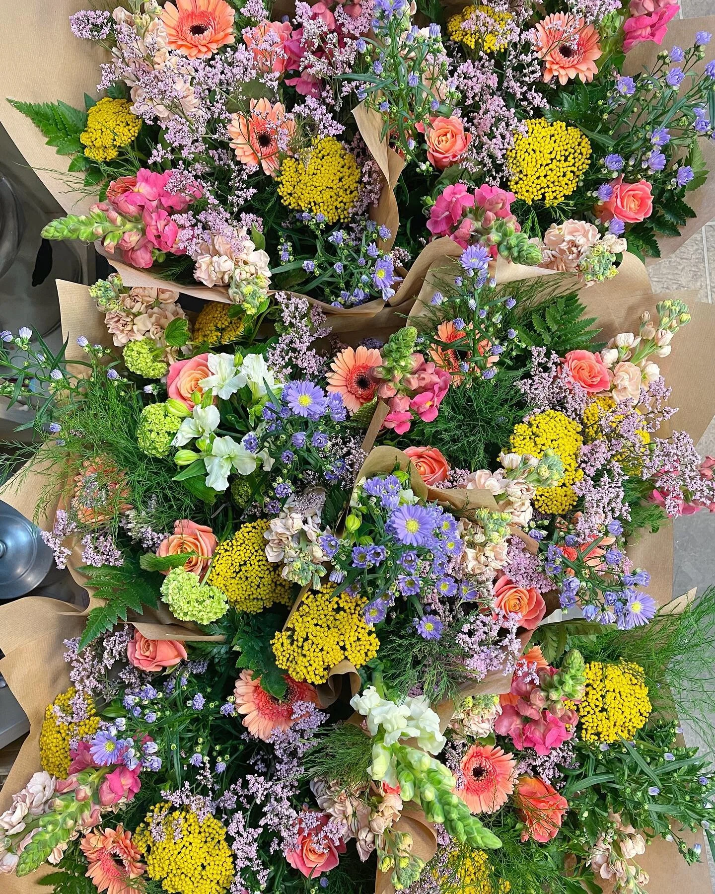 Linden Tree Flowers Same Day Flowers Plants by Post