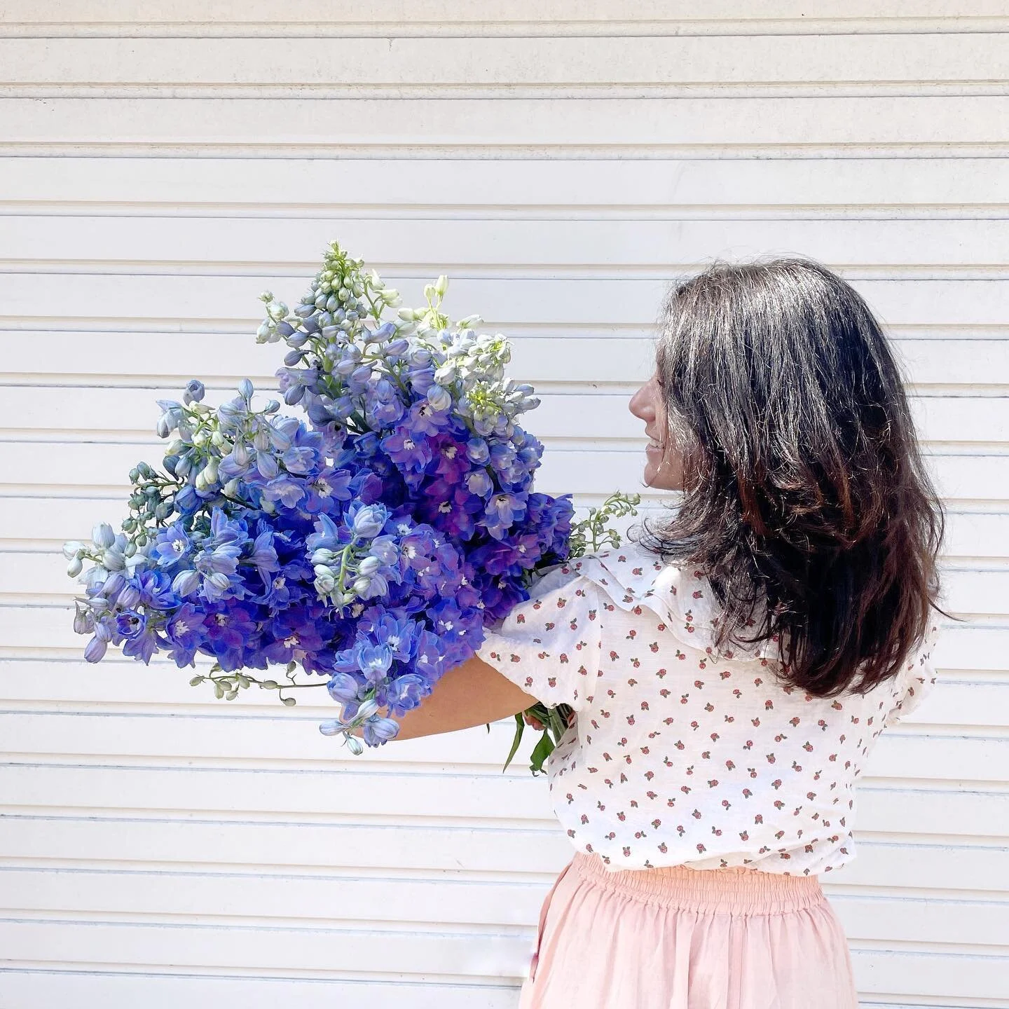 Linden Tree Flowers Same Day Flowers Plants by Post