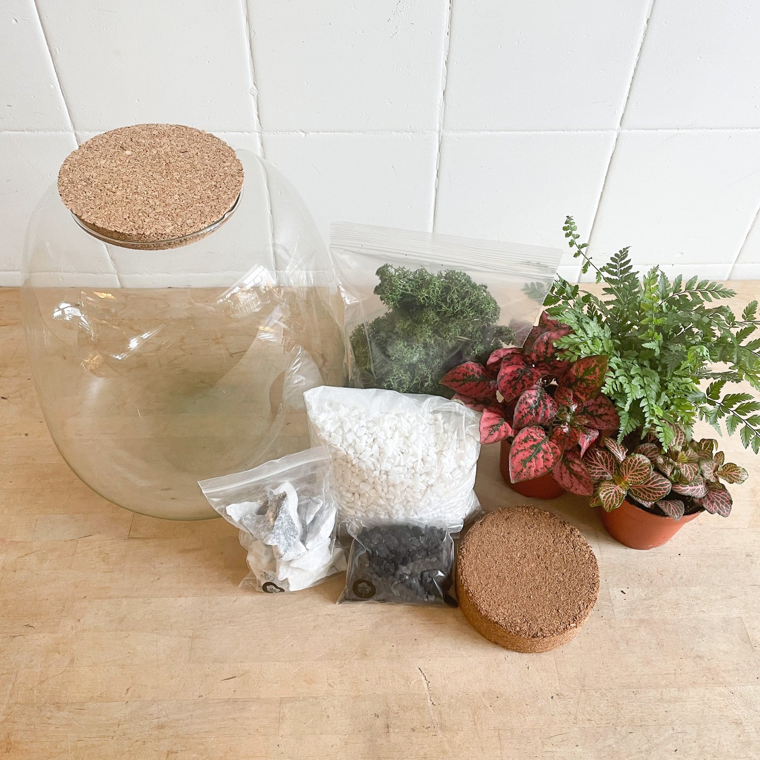 DIY Kit - Make your own Terrarium — Linden Tree Flowers