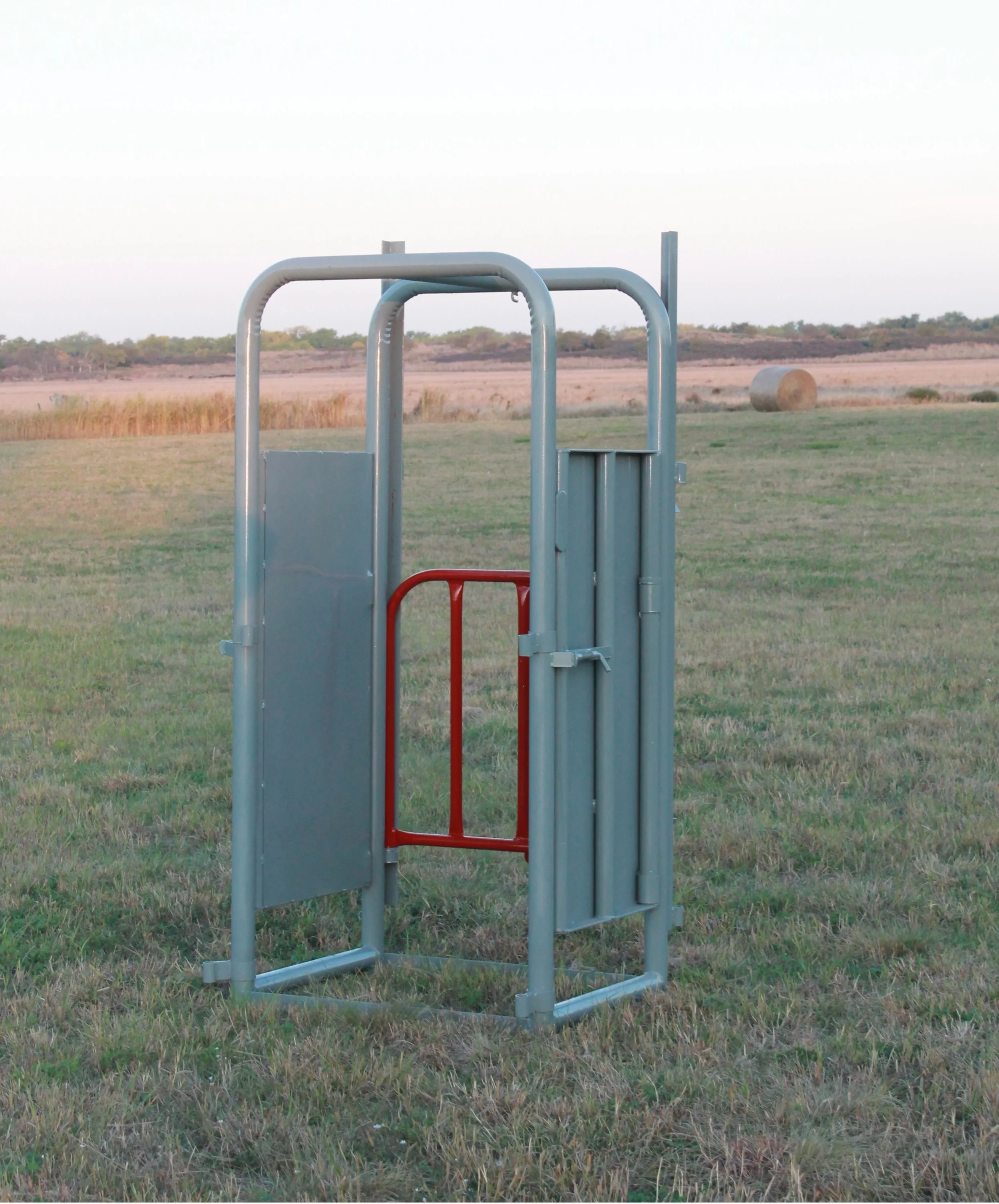 Palpation Cage with Vertical Gate — Filson Livestock Equipment