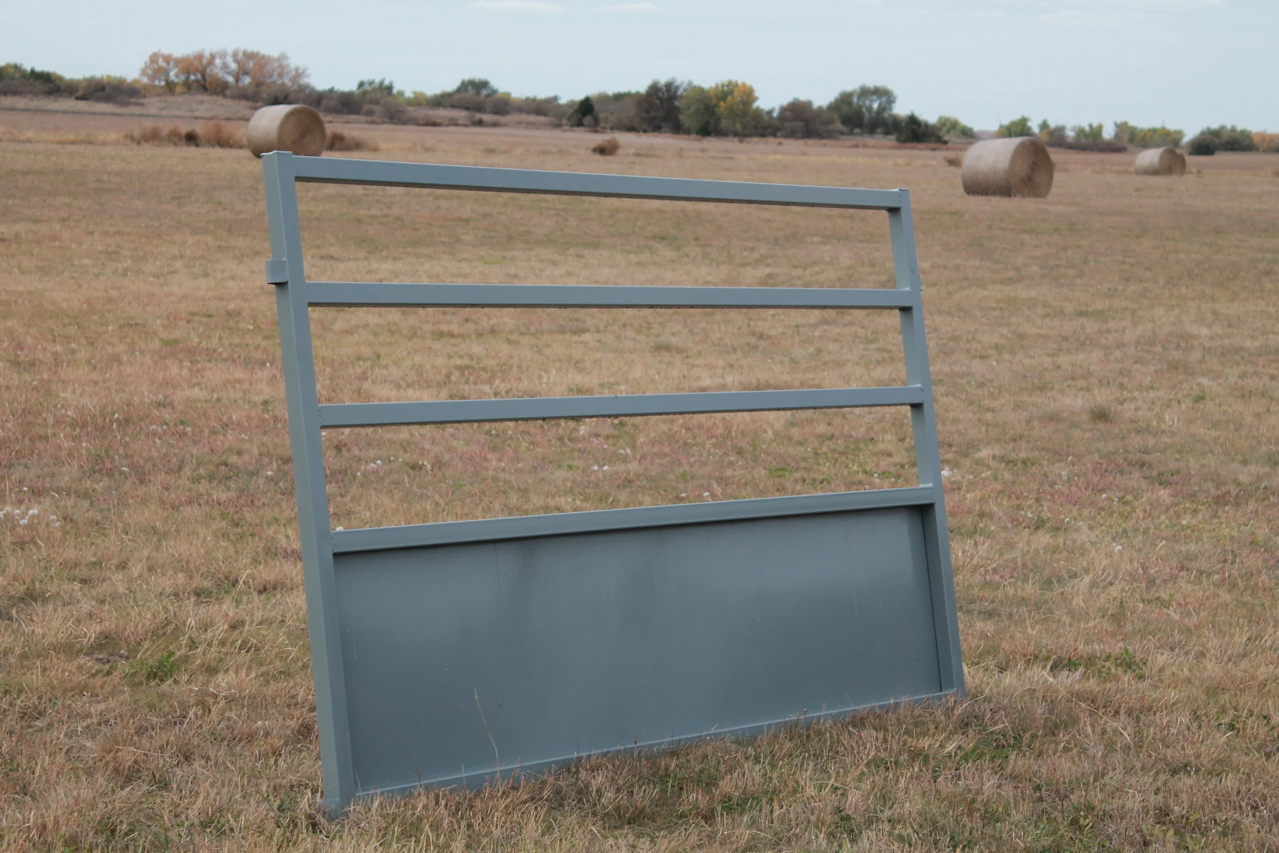 Alley 2' Sheeted Straight Side.JPG