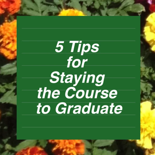 5 Tips for Staying the Course to Graduate