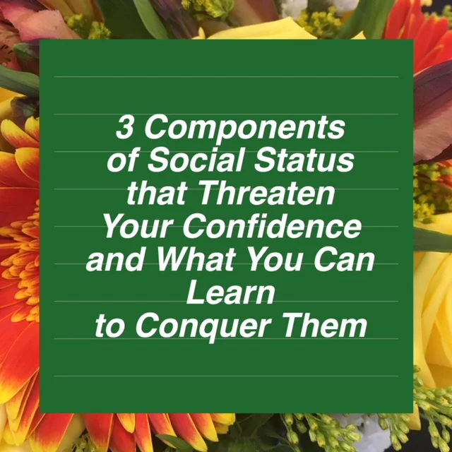 3 Components of Social Status that Threaten Your Confidence and What You Can Learn to Conquer Them