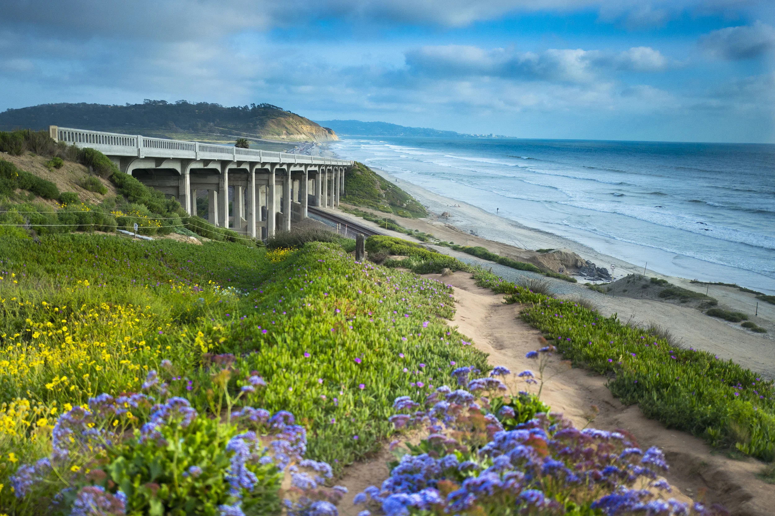 Torrey Pines Image.jpg