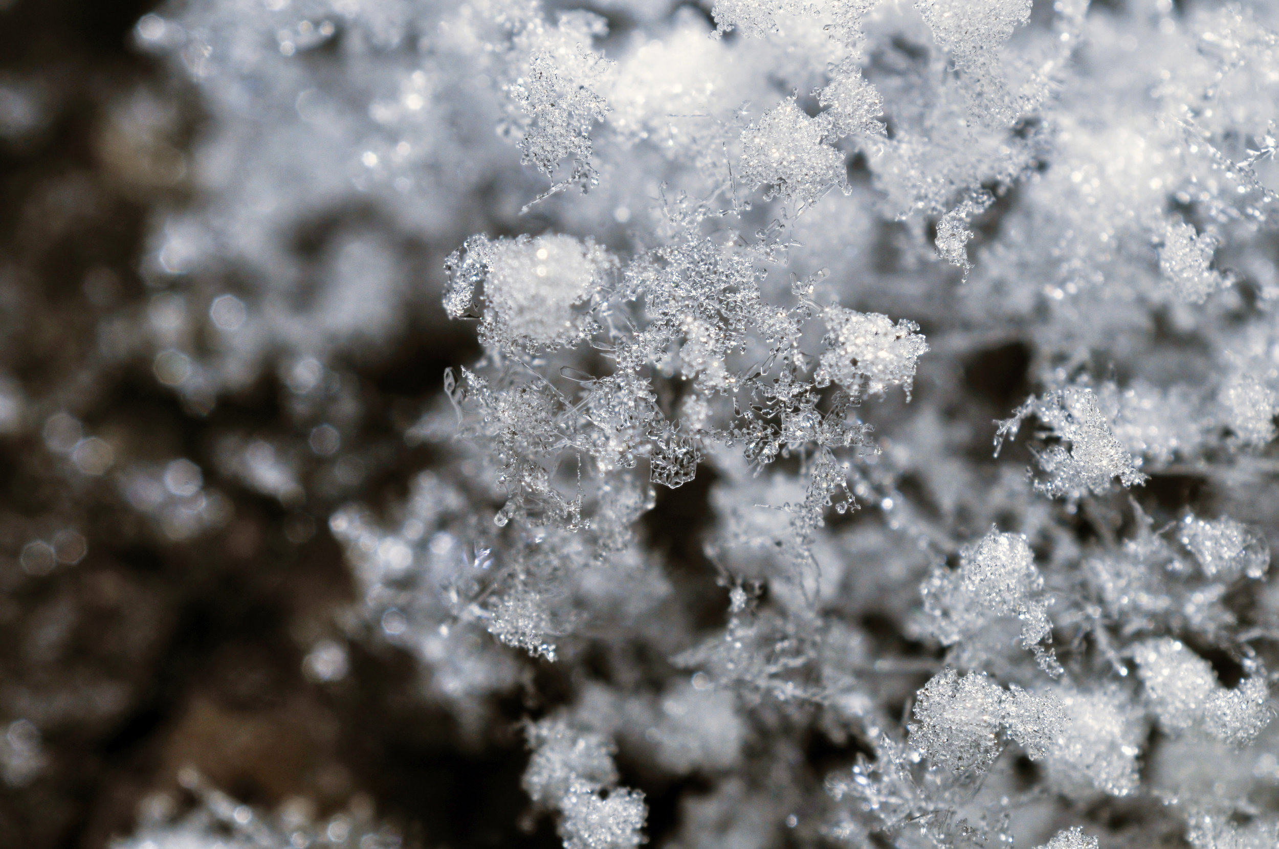 _DSC4525FIN - Copy.JPG