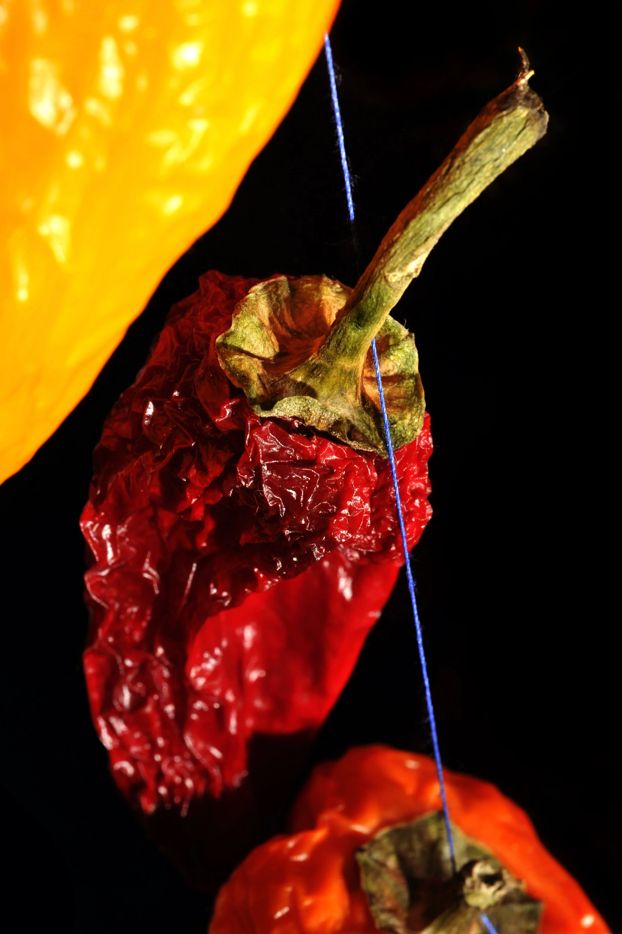 _RGP0112 - Copy - Copy.JPG