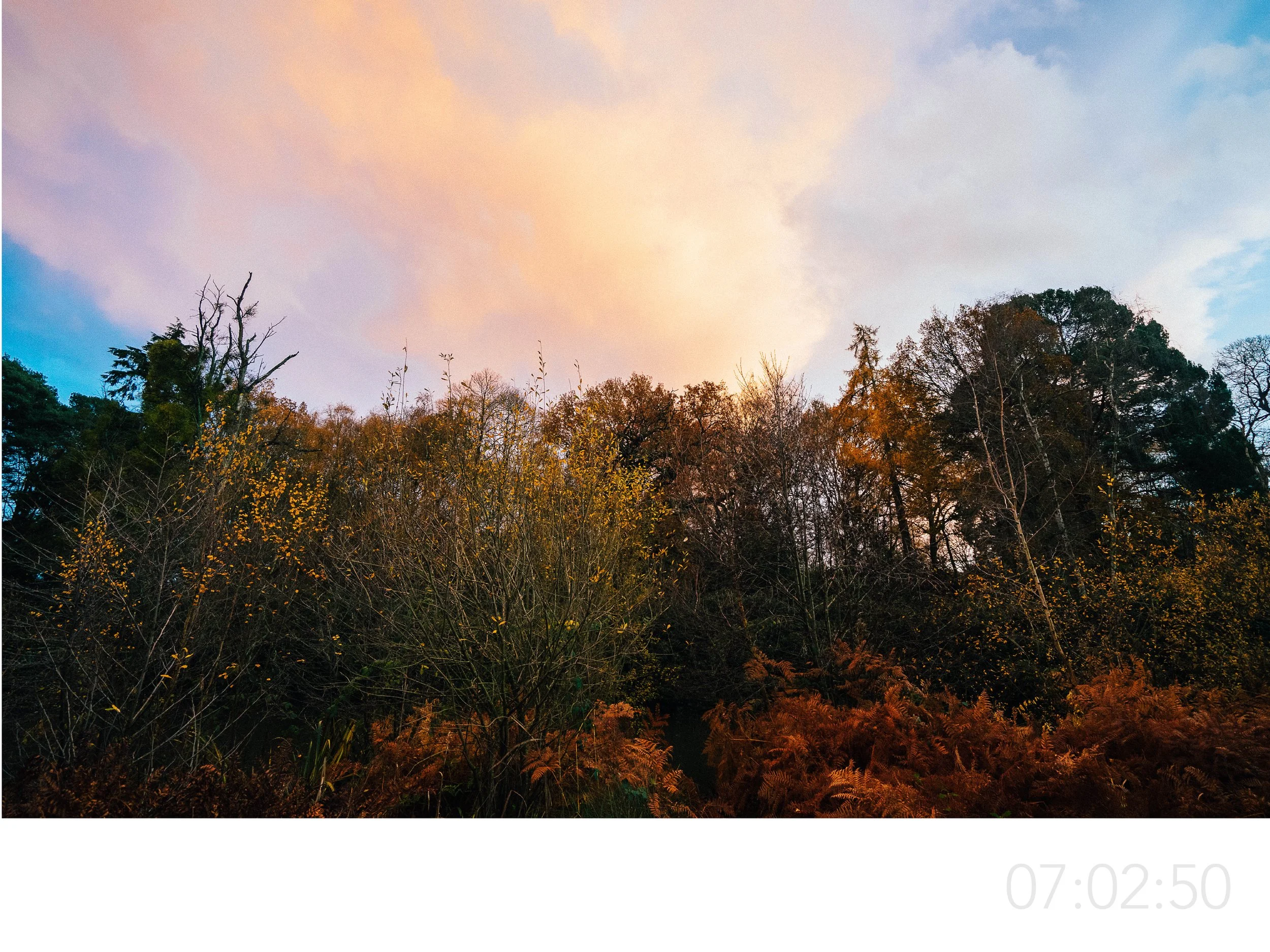 UAL Portfolio Application-3 v26.jpg