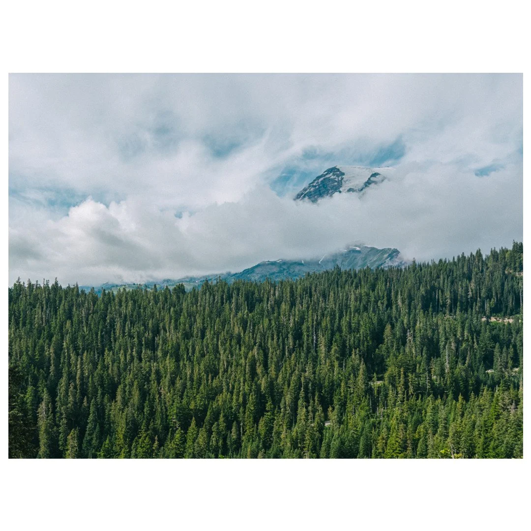 Mt. Rainer from Paradise 

📸: #shotoniphone 
📍: @mountrainiernps