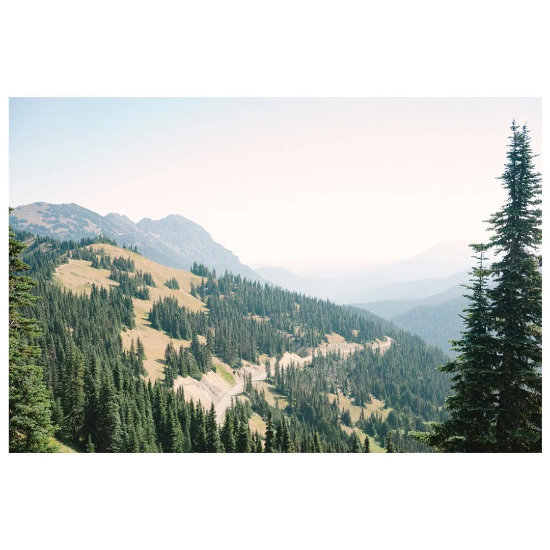Out wandering Washington. 

Hurricane Ridge, @olympic_nps 

📸 : @sonyalpha a7ii