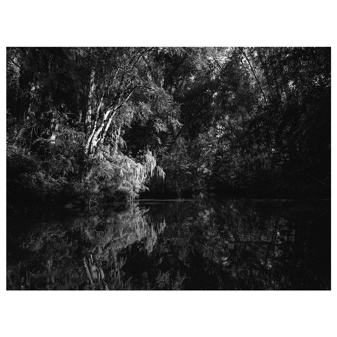 Arroyo Rama Negra 

#shotoniphone