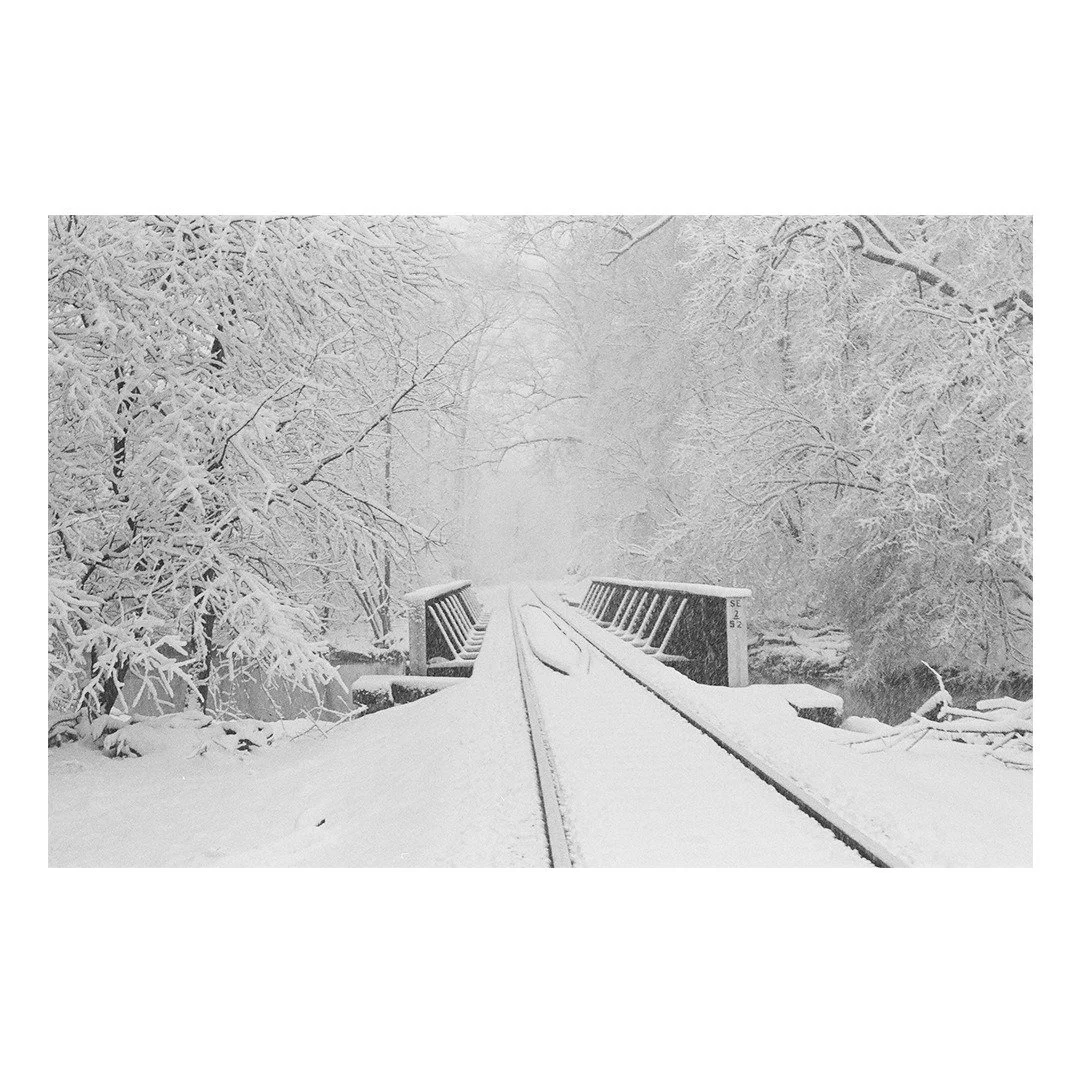 Snow along the Monocacy Creek

📸 : Minolta SRT-101
🎞 : @ilfordphoto #hp5
🧪 : @danscameracity 
📍: Bethlehem, PA