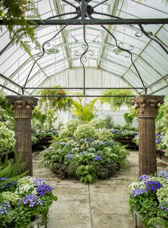 Hothouse3.jpg