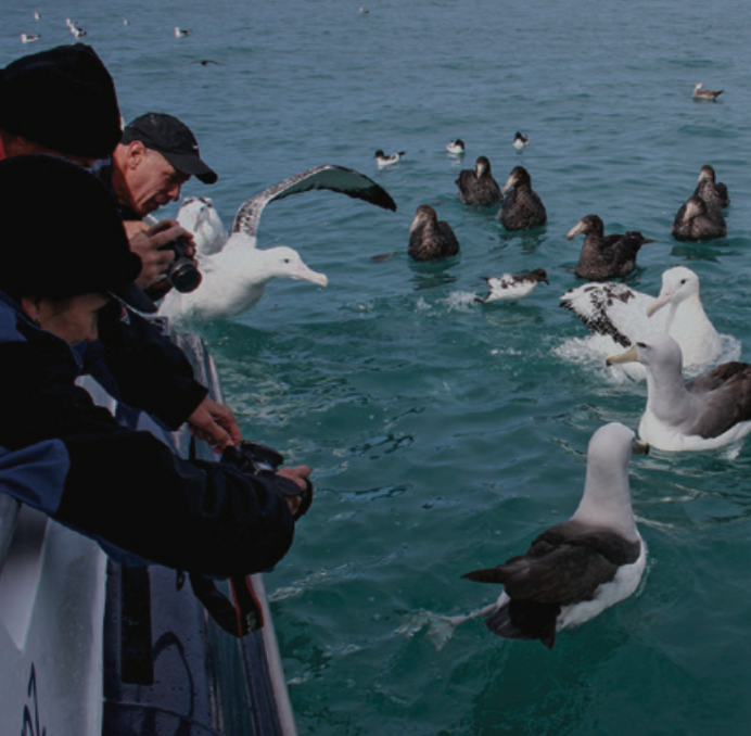 JOURNEY TO KAIKŌURA 
